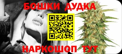сатива Кинель