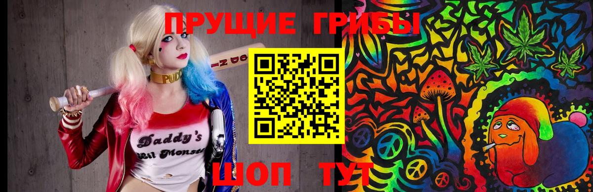 Шебекино  Галлюциногенные грибы Cubensis  Вход с VPN 
